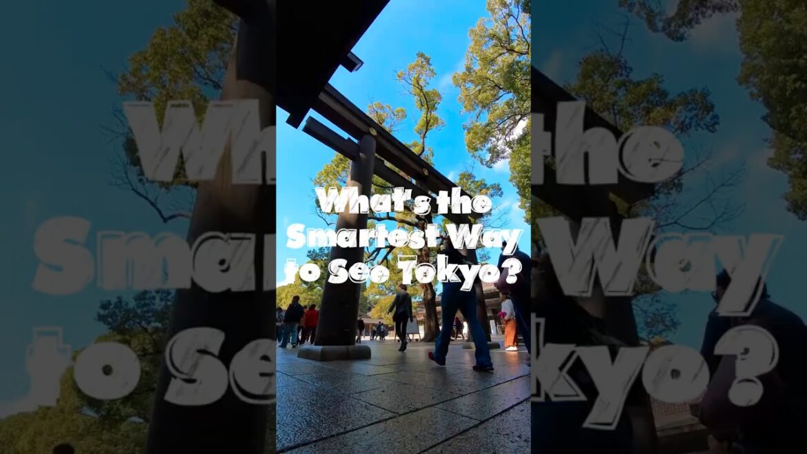 Sightseeing in Tokyo? Hop on a Bus Tour with an English Guide! #travel #japan Sightseeing in Tokyo? Hop on a Bus Tour with an English Guide! #travel #japan