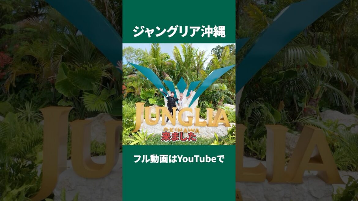 ジャングリア沖縄グランドオープン🤩✨最速攻略ガイドはフル動画で🎥
