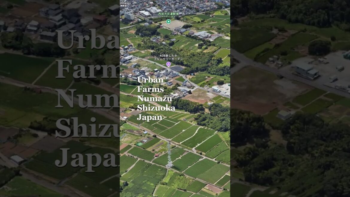 Urban Farms Numazu Shizuoka Japan 3D Google Earth