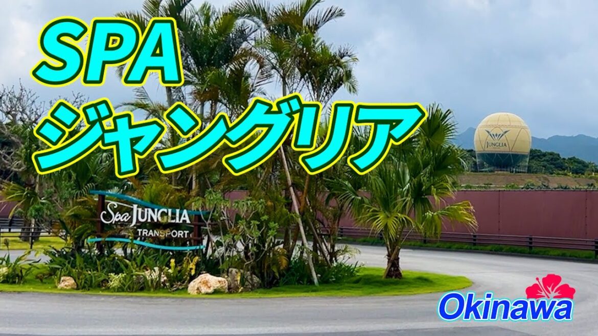 【沖縄ジャングリアの絶景温泉】森に浮かぶ“ギネス風呂”で極上の癒し体験