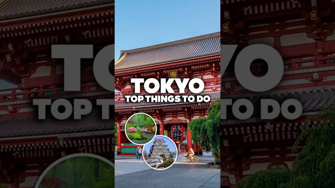 BEST THINGS TO DO IN TOKYO! Must-See Attractions!