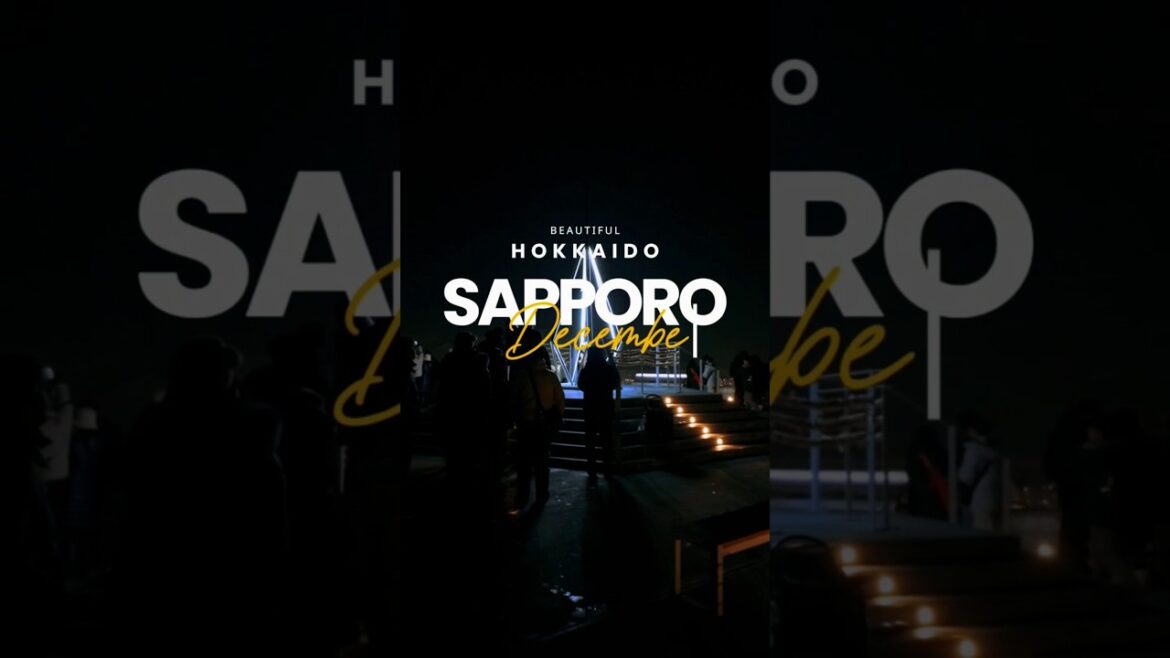 Sapporo in December ✌️#sapporo #hokkaido #hirafu #grandhirafu #ski #skiingtiktok #visitjapan