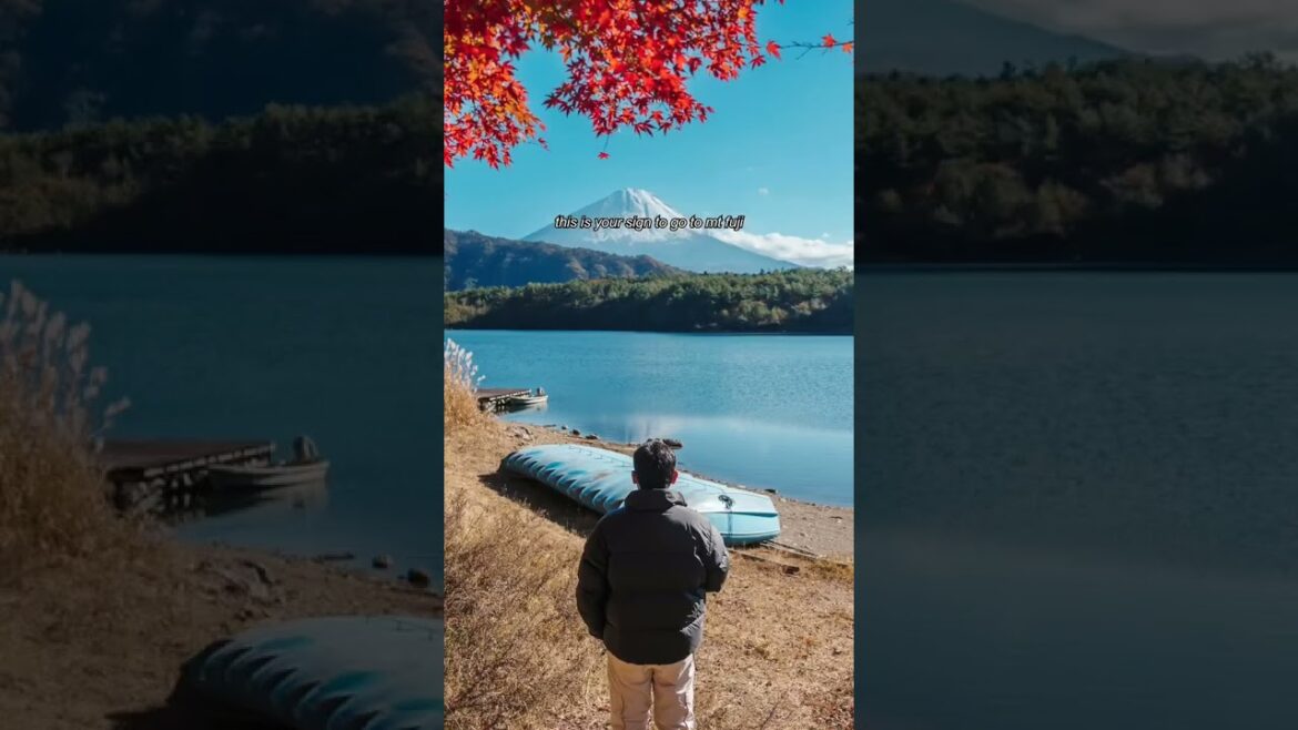 Mount Fuji's Secret: EVERY Season is Epic!