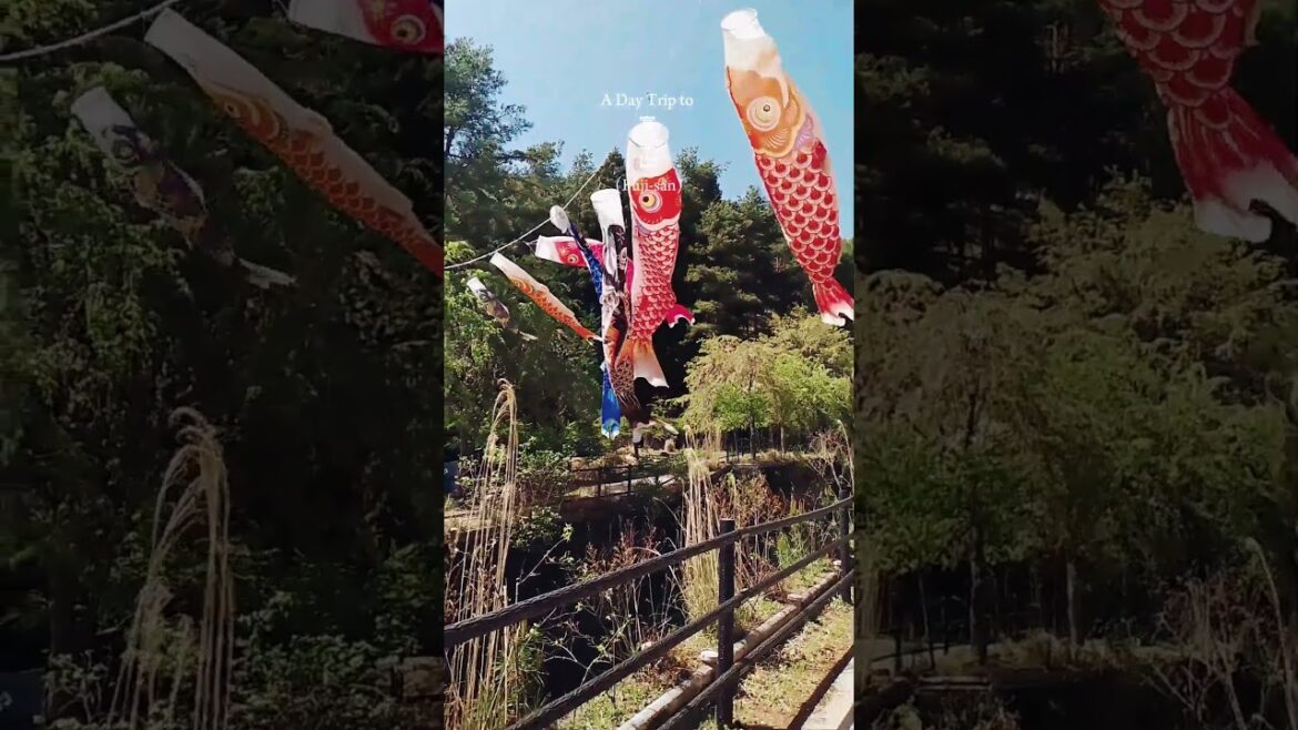 Day trip to Mt. Fuji #japan #springdiaries #asiantravel #travel #japantravel #mtfuji