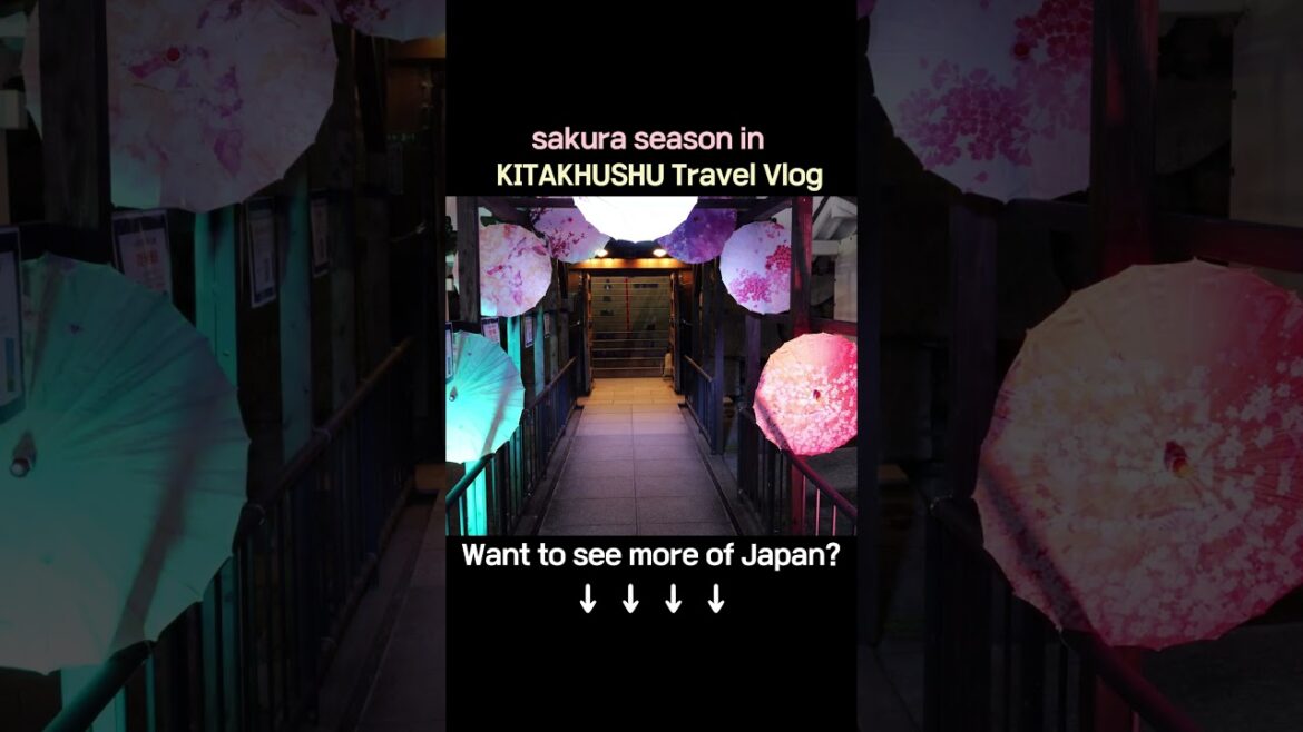 Sakura Walk & Festival Fun in Kokura｜桜の下で小倉さんぽ｜漫步小倉的櫻花日和 #travel #japantravel #japan