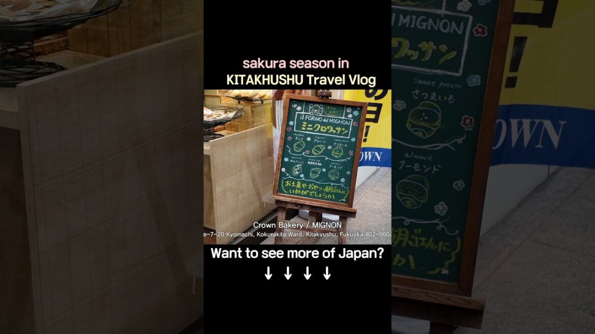 Kitakyushu Kokura’s Best Croissant Spot｜北九州小倉の絶品クロワッサン｜小倉必吃酥脆可頌