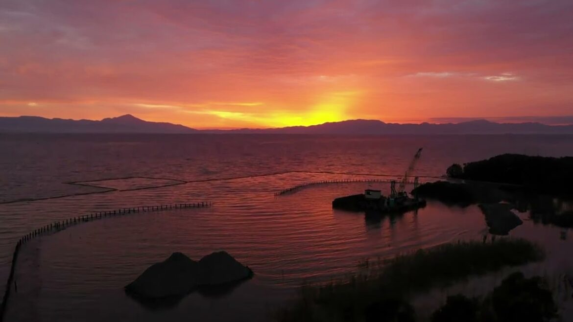 JAPAN 🇯🇵 (4K) JAPAN 🇯🇵 (4K)