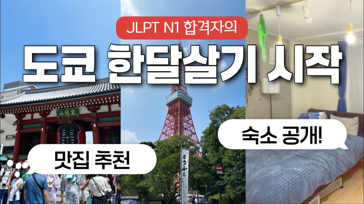 ๐ฏ๐ต ์ผ๋ณธ ํ๋ฌ์ด๊ธฐ ์์ | ์ฌ๋ฆ ๋์ฟ๋ฅผ ๋๊ฐ ๊ฐ๋?๐ฅ | ๋์ฟ ์์ด๋น์ค๋น | ์ด์ผ๋ถ์ฟ ๋ก, ์์ฌ์ฟ ์ฌ, ์๋ถ์ผ | ๋์ฟํ์๐ผ| ๋๋ฆฌํ ๊ณตํญ ์ฃผ๋ณ ๊ด๊ด | ๋๋ฆฌํ์ฐ์ ์ผ์ง ๐ฏ๐ต ์ผ๋ณธ ํ๋ฌ์ด๊ธฐ ์์ | ์ฌ๋ฆ ๋์ฟ๋ฅผ ๋๊ฐ ๊ฐ๋?๐ฅ | ๋์ฟ ์์ด๋น์ค๋น | ์ด์ผ๋ถ์ฟ ๋ก, ์์ฌ์ฟ ์ฌ, ์๋ถ์ผ | ๋์ฟํ์๐ผ| ๋๋ฆฌํ ๊ณตํญ ์ฃผ๋ณ ๊ด๊ด | ๋๋ฆฌํ์ฐ์ ์ผ์ง