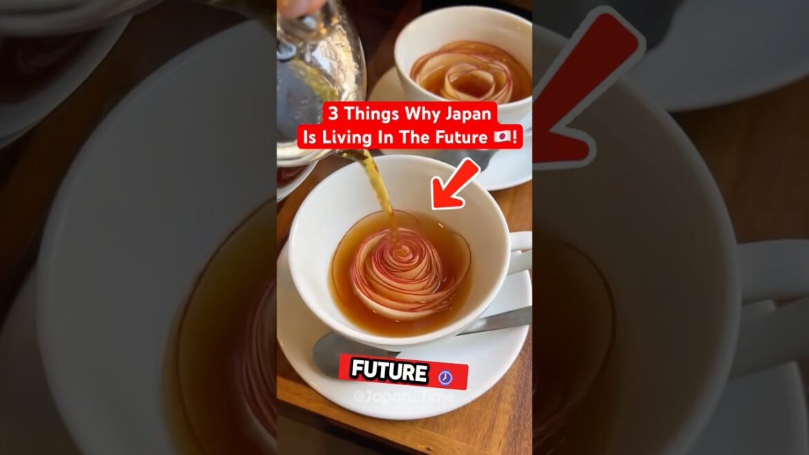 3 Reasons Japan Is Living In The Future! 3 Reasons Japan Is Living In The Future!