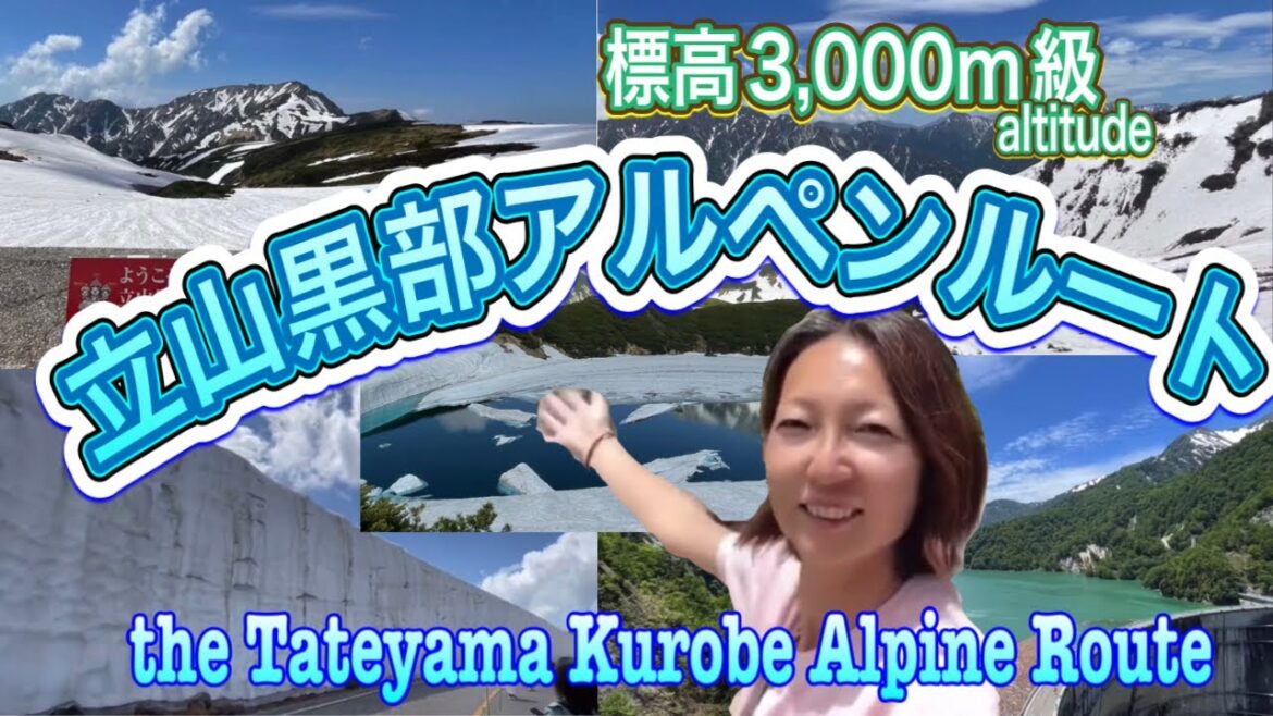 【世界有数】標高3,000m 立山黒部アルペンルート✨🏔️雪の大谷❄️真夏の避暑に☀️ 【世界有数】標高3,000m 立山黒部アルペンルート✨🏔️雪の大谷❄️真夏の避暑に☀️