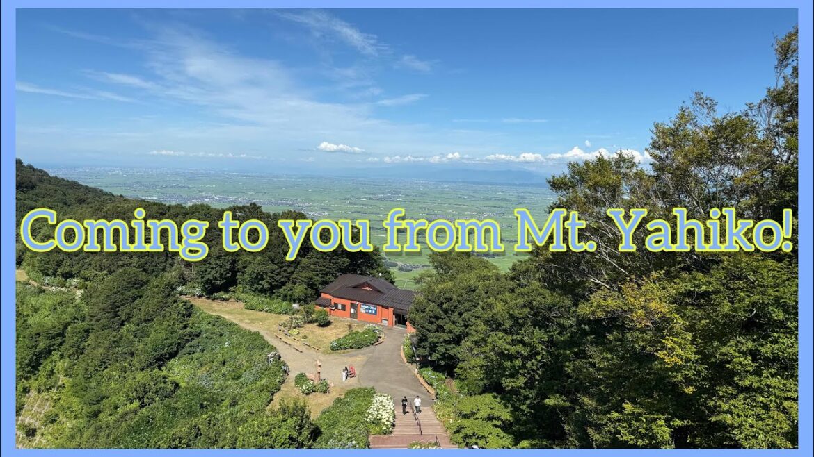 Coming to you from Mt. Yahiko!