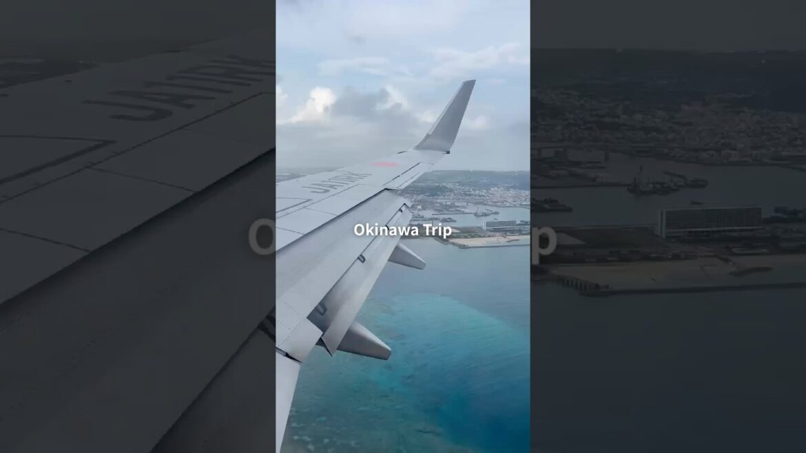 Okinawa Trip🌺初沖縄出張でした！先輩みたいな人になりたい🕺#社会人2年目 #出張 #旅 #沖縄  #shorts