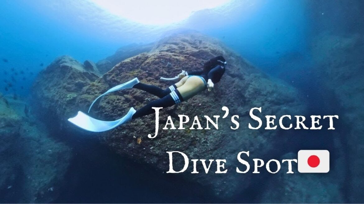 Freediving Japan's Volcanic Shores | Hidden Spots near Tokyo 🇯🇵 Vol.1