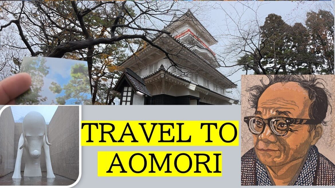 🇯🇵 TRAVEL TO AOMORI ජපානේ උඩම කෙලවරේ බලන්න යන්න ඕනේ නැනක් 🇱🇰