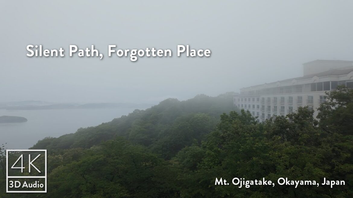 Misty Mountain Walk with a Stray Cat | Silent Japan ASMR | Abandoned Hotel – Okayama