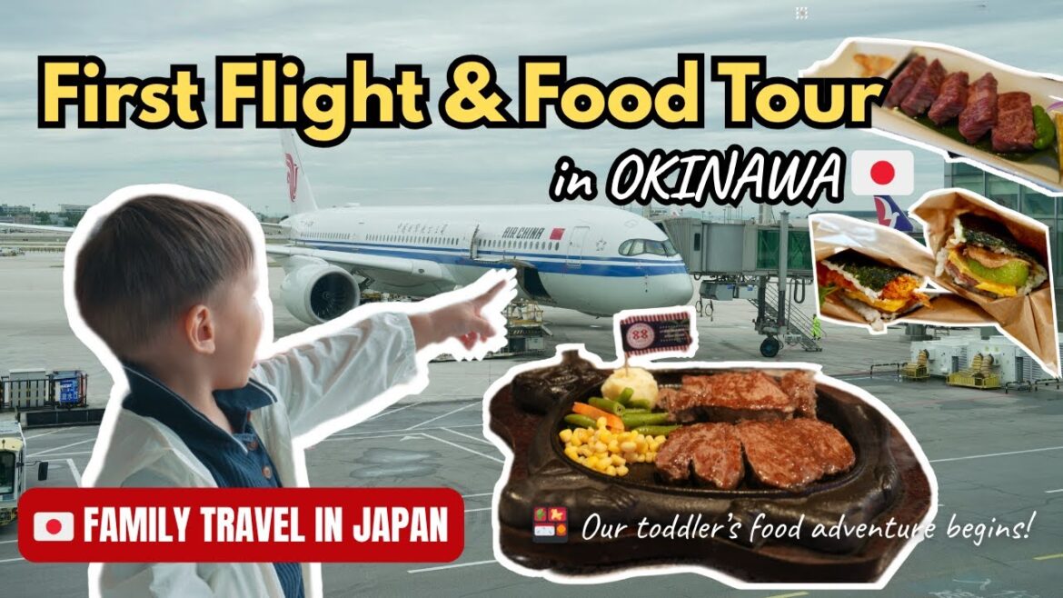 ✈️ Our Toddler’s First Flight + 🇯🇵 Okinawa Food Tour 🍖 | Family Vlog | Erica From China ✈️ Our Toddler’s First Flight + 🇯🇵 Okinawa Food Tour 🍖 | Family Vlog | Erica From China