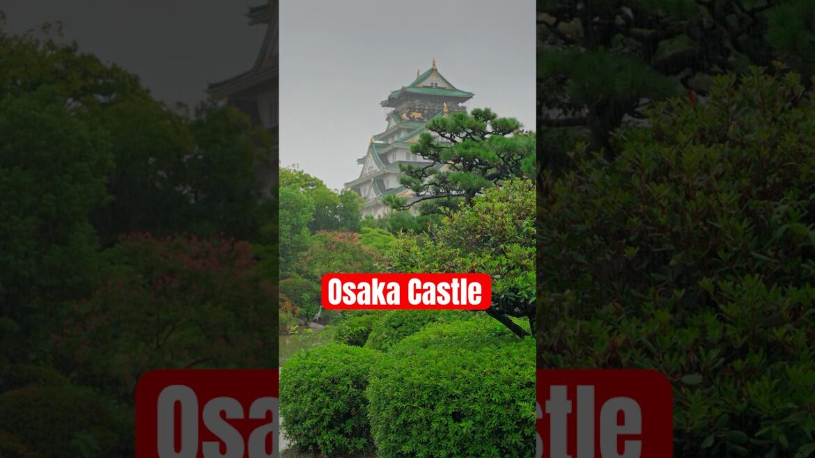 This is Osaka castle