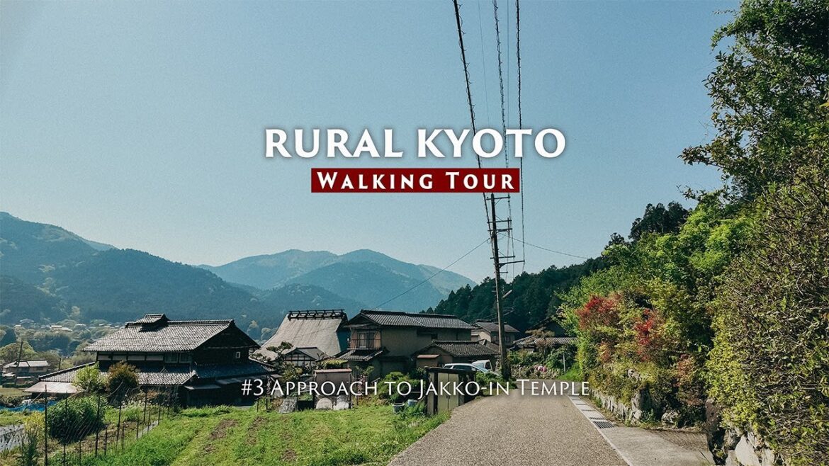 Walking Tour of Rural Japan | Discover a Hidden Temple in Ohara, Kyoto | 4K Morning Ambience | 京都・大原