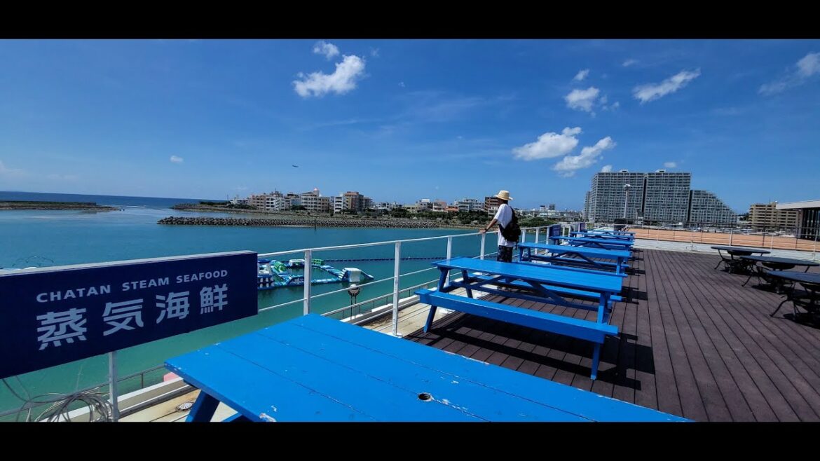 9 Days in Okinawa, Japan