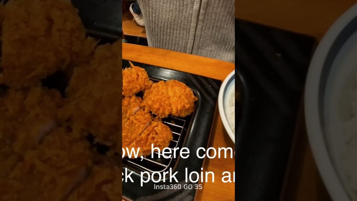 I ate black pork cutlet at “Katsuju” #japan #鹿児島 #kagoshima #travel #food I ate black pork cutlet at "Katsuju" #japan #鹿児島 #kagoshima #travel #food