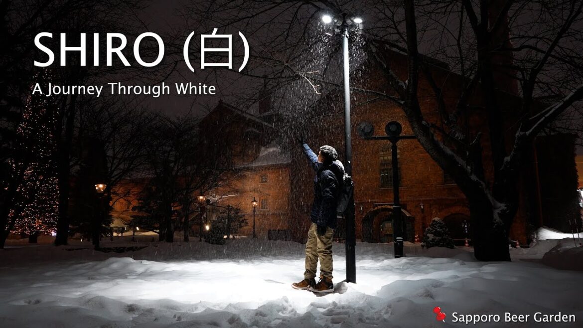 A Journey Through White | Japan Hokkaido Travel Film on Sony ZV-E1 ❄️