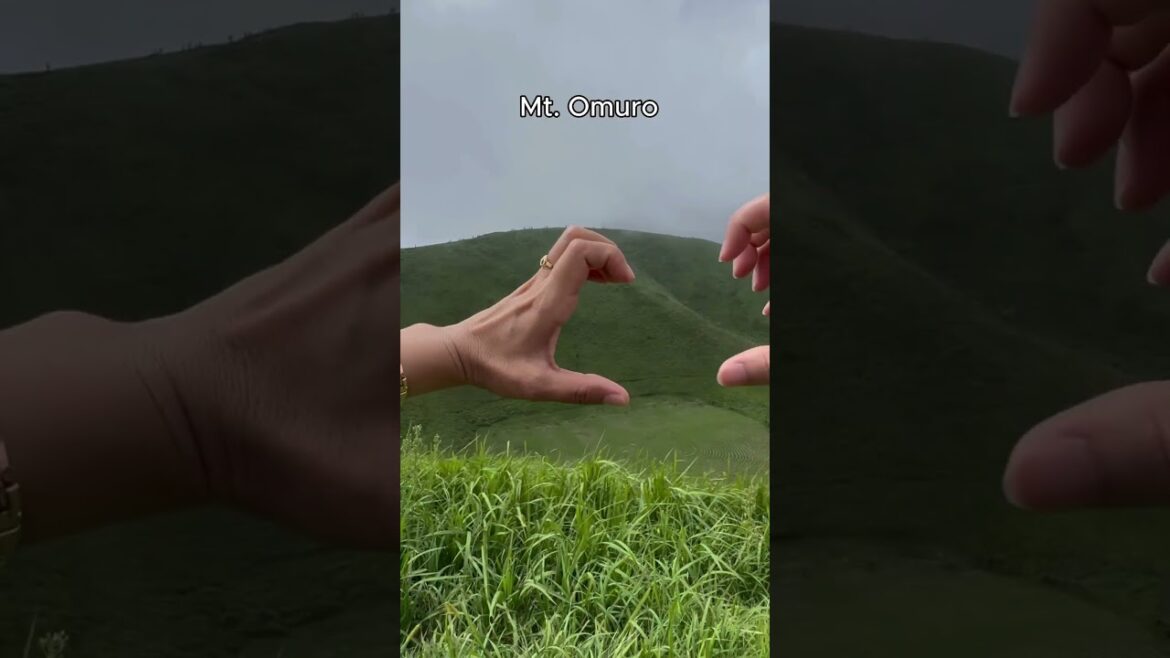 #kmt#japanese #blog #shizuoka #travel