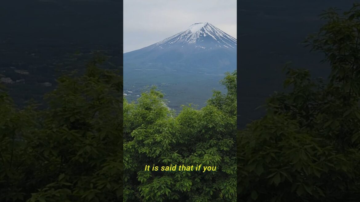 Shinjuku to Mt fuji by train, my fuji day trip from tokyo