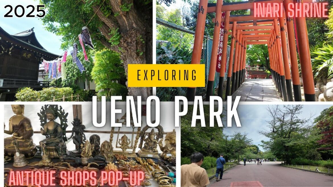 Exploring Ueno Park -  Tokyo’s Hidden Gem! 🌳✨ 🇯🇵 #travel #travelvlog #Japan