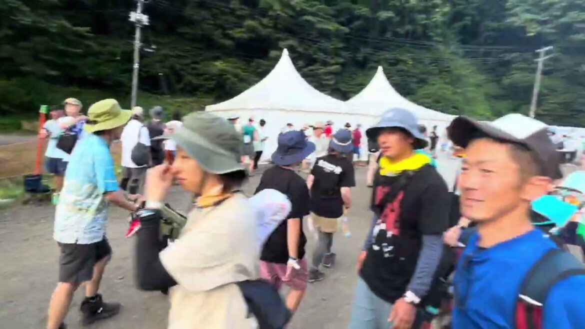 Fuji rock festival Japan, tips.