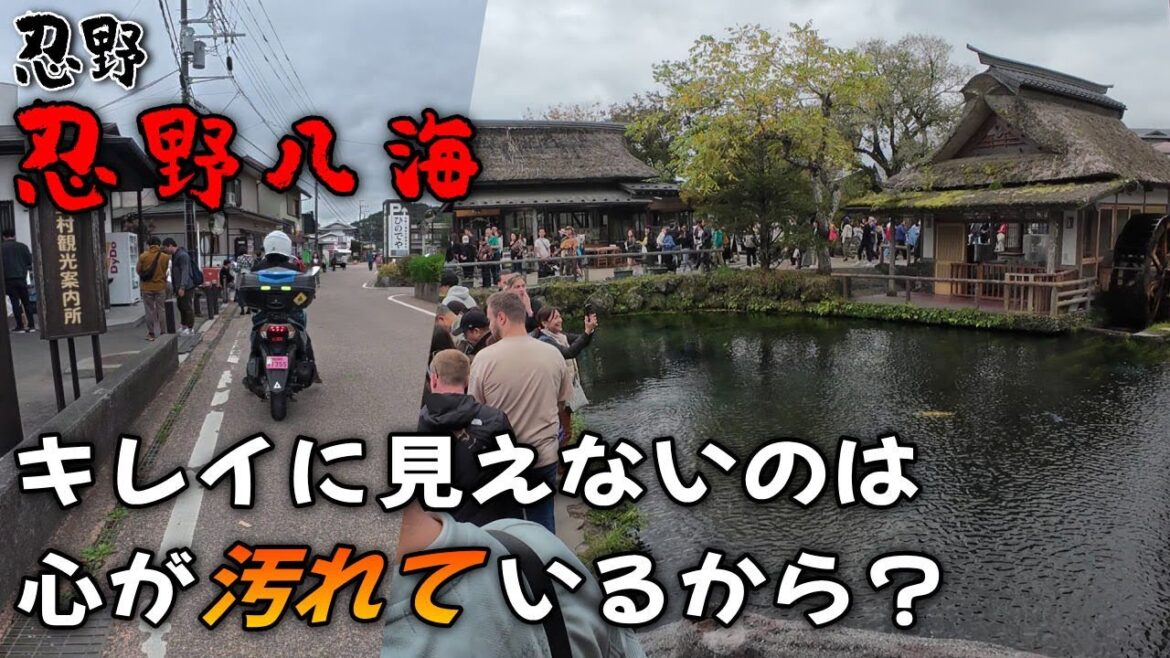 【夫婦旅#20】忍野八海 「和風な異国?謎の水溜まりに困惑する山梨旅行!」 【夫婦旅#20】忍野八海 「和風な異国?謎の水溜まりに困惑する山梨旅行!」