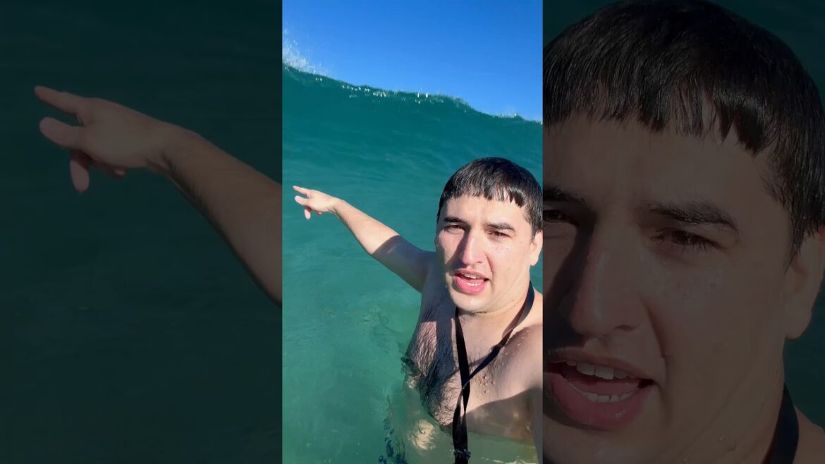 Shirahama beach 白浜海岸#shorts #japan #Shirahama beach#nature #naturelovers #ocean #travel l