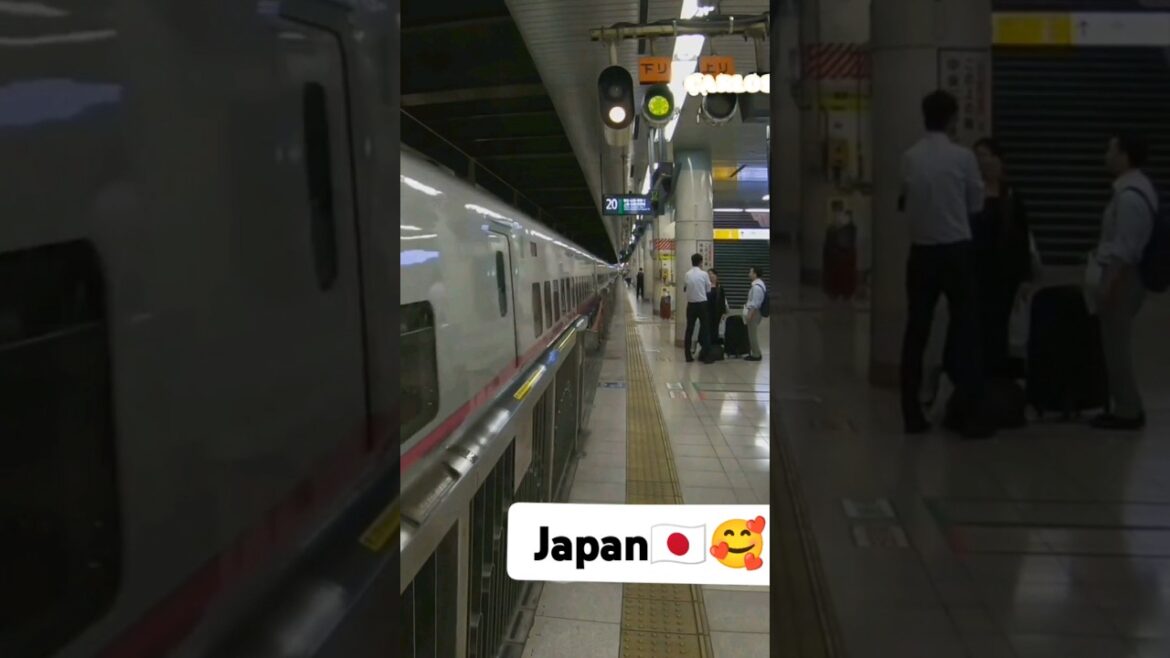 Only in Japan 🔥 #lifeisbutadream #travel #japan #whowillbemylifepartnerta Only in Japan 🔥 #lifeisbutadream #travel #japan #whowillbemylifepartnerta