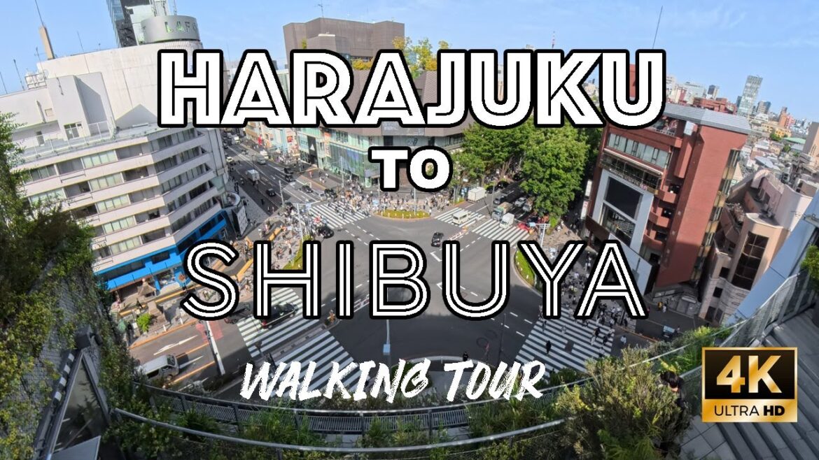 HARAJUKU 原宿 to SHIBUYA 渋谷区 Tokyo Walking Takeshita st. ▹ Meiji Dori ▹ Cat Street ▹ Miyashita Park 4K HARAJUKU 原宿 to SHIBUYA 渋谷区 Tokyo Walking Takeshita st. ▹ Meiji Dori ▹ Cat Street ▹ Miyashita Park 4K