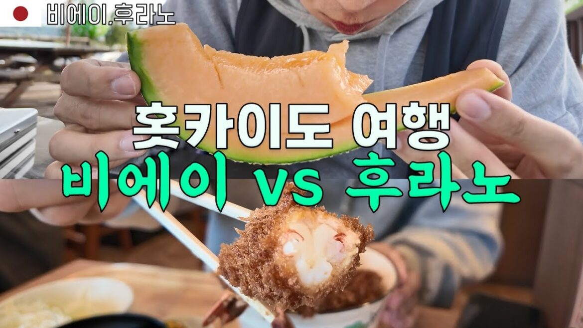 비에이 후라노 당일여행 코스【일본일주22】 비에이 후라노 당일여행 코스【일본일주22】
