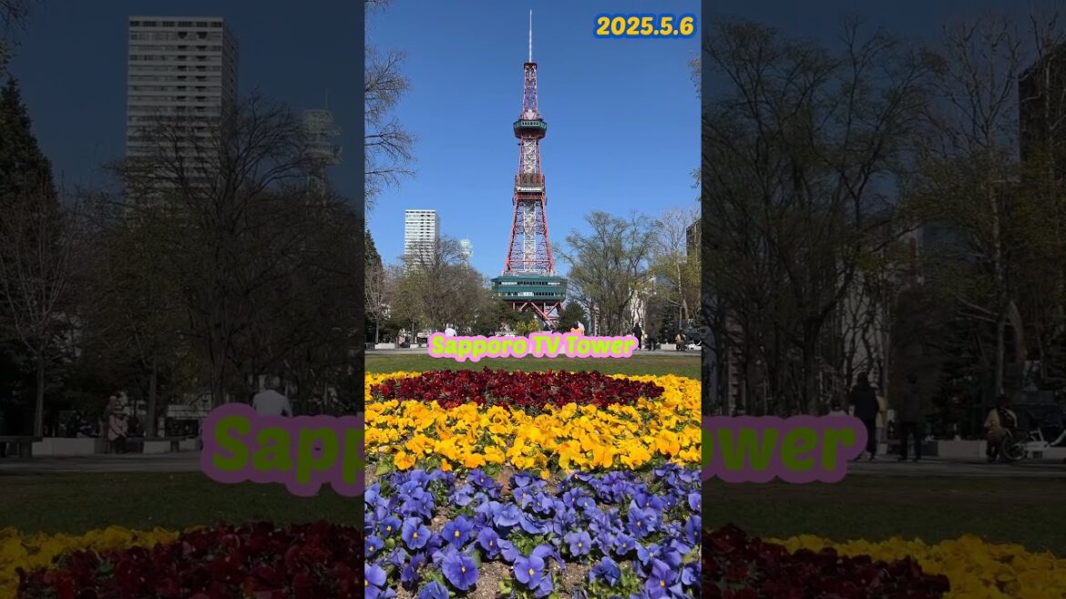 삿포로 티비타워 오도리 공원 | Sapporo TV Tower Odori Park