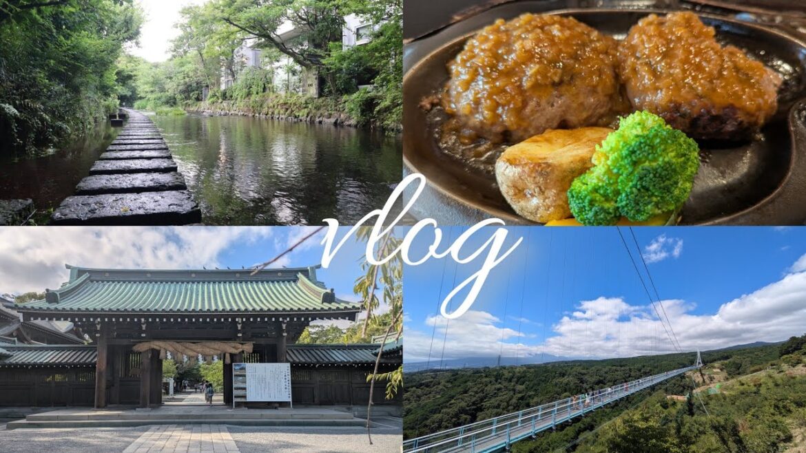 【三島】避暑地で自然とグルメを満喫する日帰り旅行│さわやか│三島スカイウォーク│三嶋大社│源兵衛川│鰻