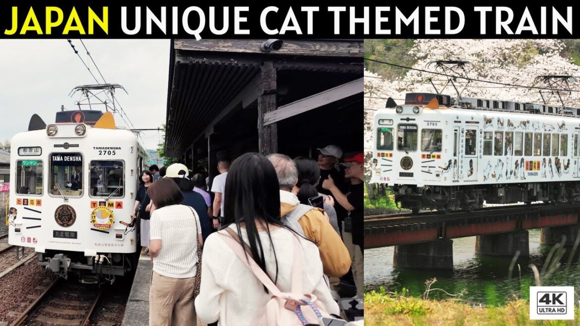🇯🇵 JAPAN TRAVEL | Japan’s CUTEST Cat Train 🐈 Tama Densha Adventure