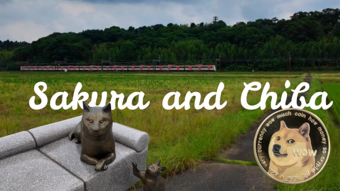 Finding Peace Just Outside Tokyo – Kabosu and Chiba Floating Train Finding Peace Just Outside Tokyo – Kabosu and Chiba Floating Train
