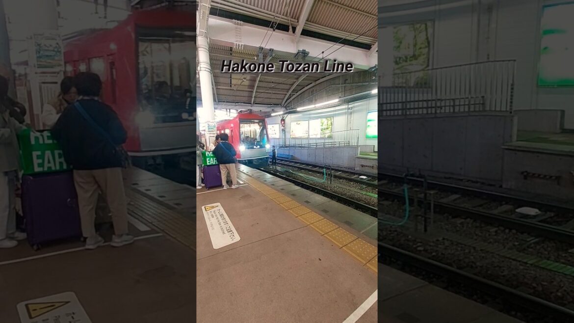 The Vista view of Hakone Tozan Line | જાપાન 🇯🇵 #shorts
