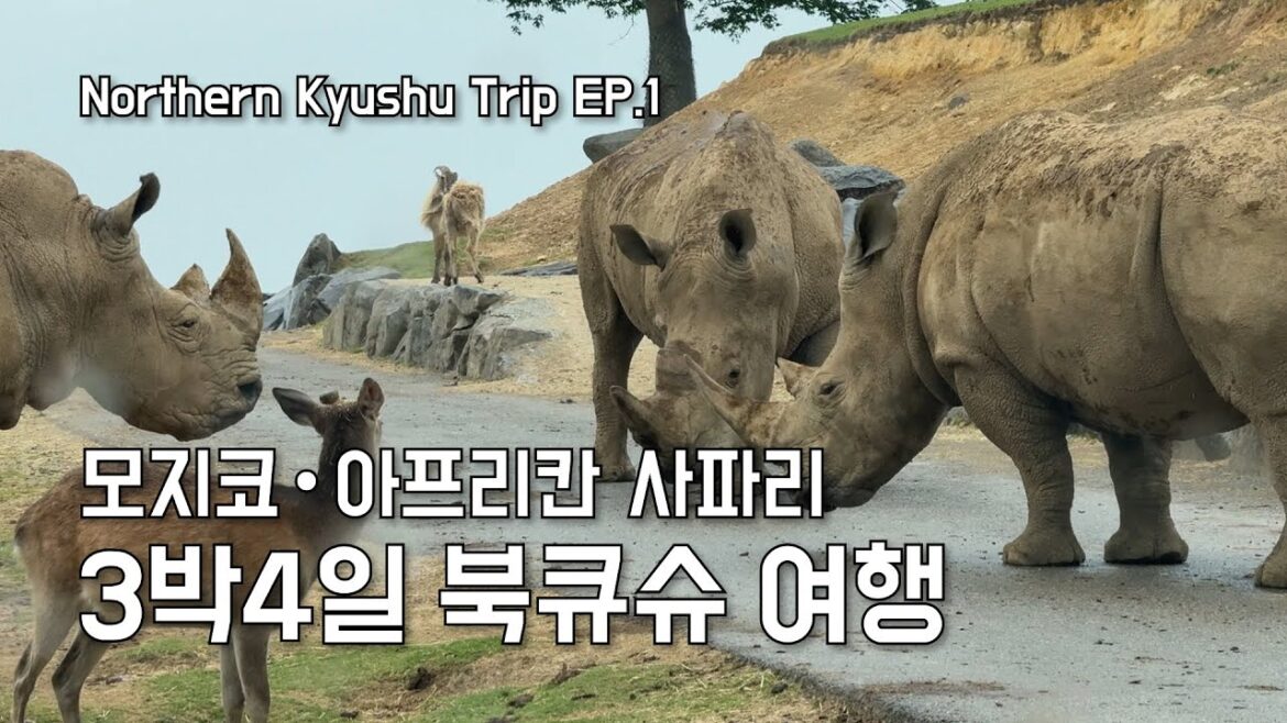 기타큐슈 레트로 마을 & 사파리 체험ㅣ후쿠오카 근교 여행 EP.1