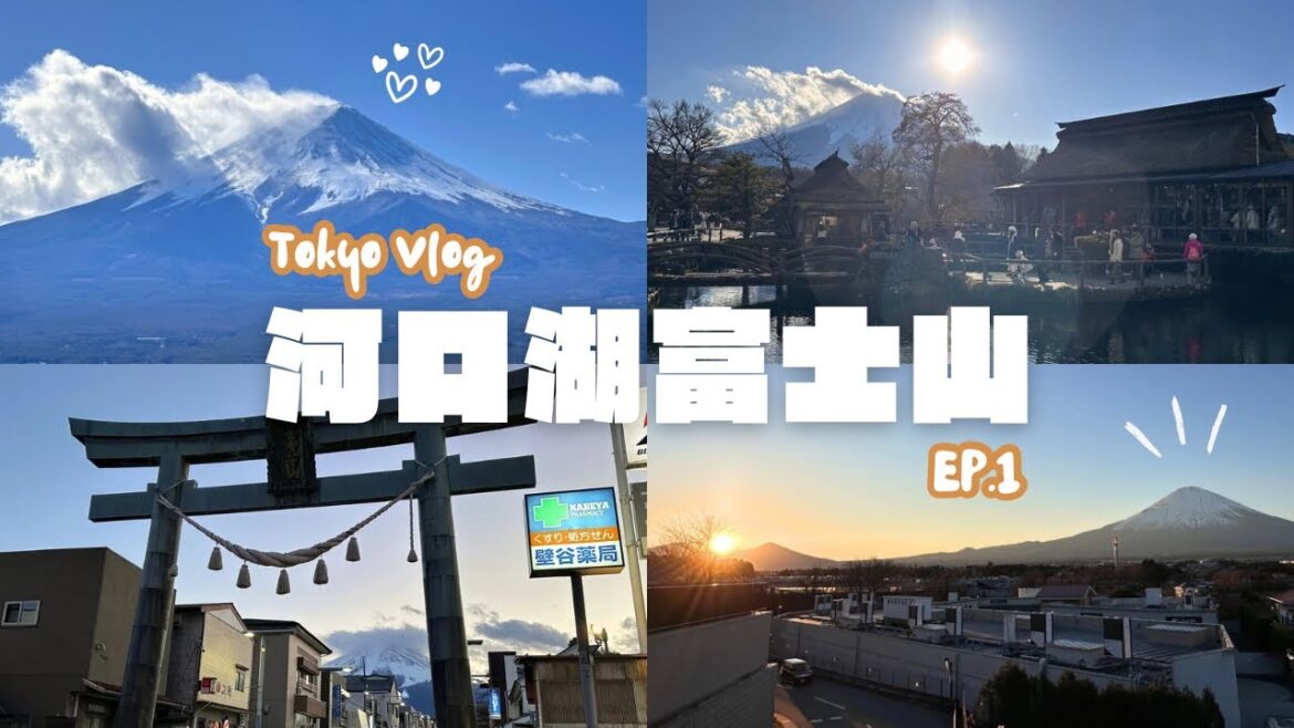 【河口湖自由行】富士山巡禮🗻天上山公園纜車🚡、北口本宮富士淺間神社⛩️、忍野八海🐟、金鳥居👺、大石公園🌳，周邊景點玩不完！