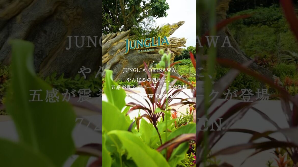 『JUNGLIA NEW OPEN』やんばるの大自然で本能が目覚める!2025年7月にオープンしたばかりの話題の新スポット、「JUNGLIA OKINAWA(ジャングリア沖縄)」に行ってきました🎉 『JUNGLIA NEW OPEN』やんばるの大自然で本能が目覚める!2025年7月にオープンしたばかりの話題の新スポット、「JUNGLIA OKINAWA(ジャングリア沖縄)」に行ってきました🎉