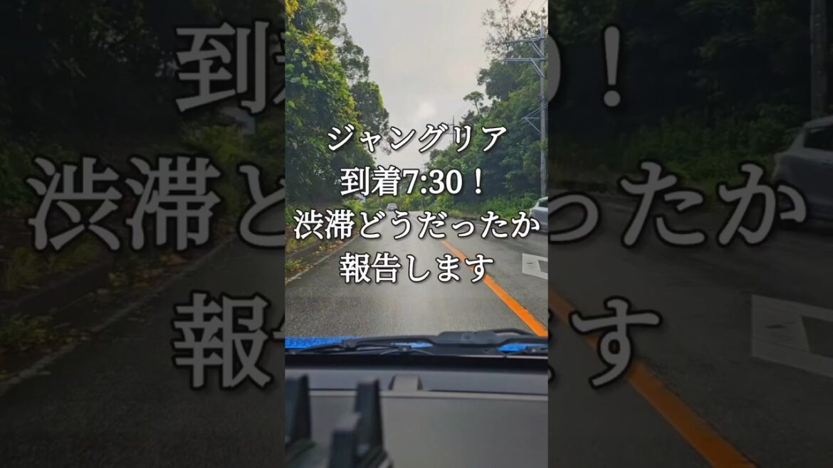 ジャングリア到着7:30!渋滞どうだったか報告します ジャングリア到着7:30!渋滞どうだったか報告します