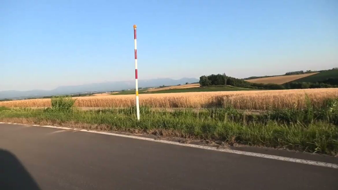 2025 JULY 24, Patchwork Road in Biei, Hokkaido, Japan 2025 JULY 24, Patchwork Road in Biei, Hokkaido, Japan
