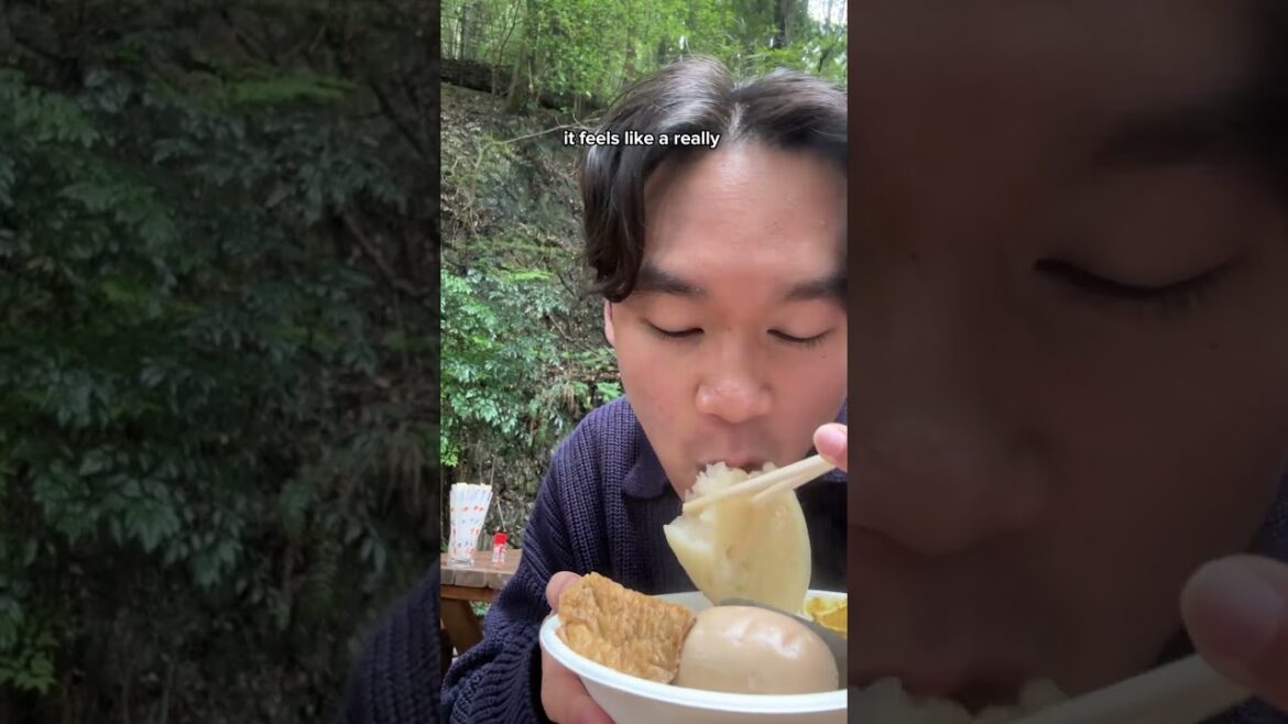 Don't Skip this Osaka Day Trip - Minoh Park OMinoh Park