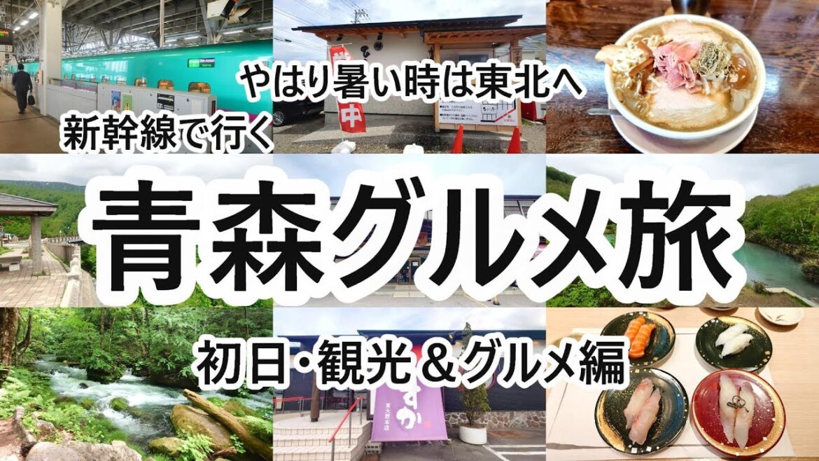 青森ツアー 初日観光編 【青森県】2024年5月 4K動画 音声有り 青森ツアー 初日観光編 【青森県】2024年5月 4K動画 音声有り