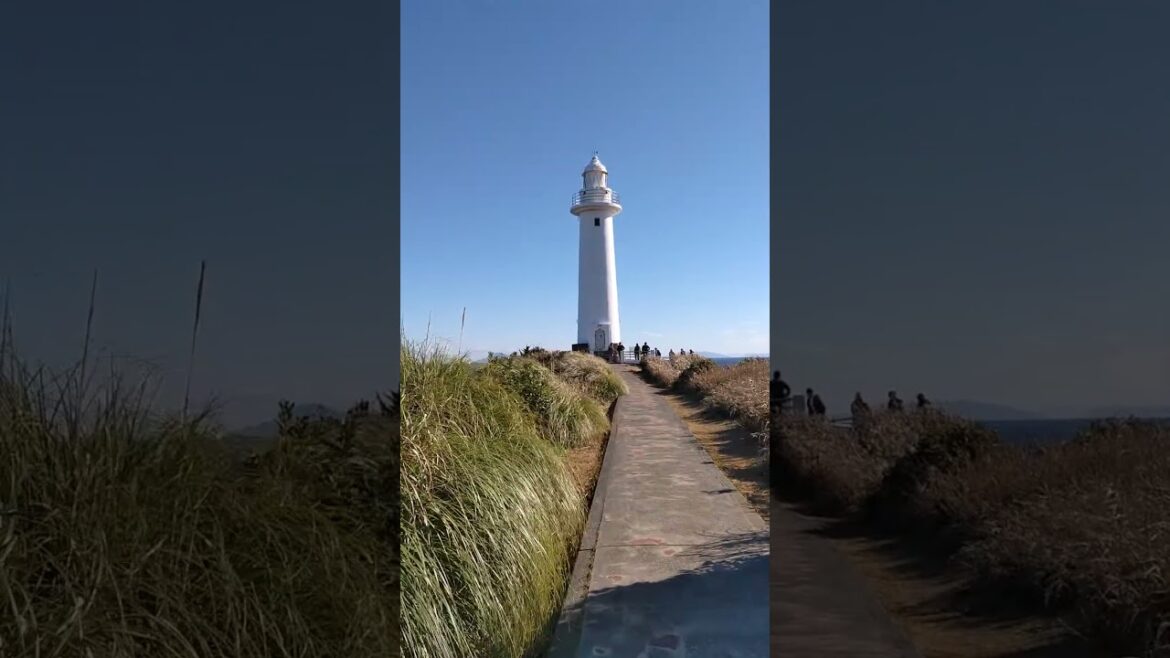 Izu, Shizuoka, Japan #7