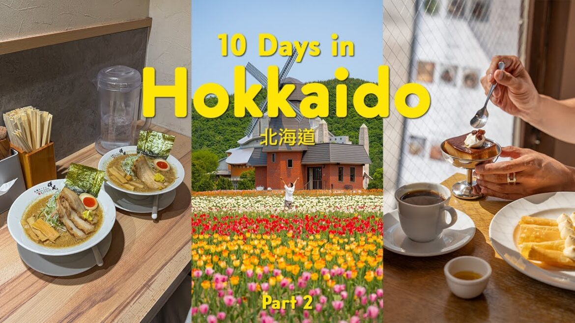 10 days in Hokkaido šÆšµ åęµ·é(best local food, secret photo spot, aesthetic cafe) | part 2 | japan trip 10 days in Hokkaido šÆšµ åęµ·é(best local food, secret photo spot, aesthetic cafe) | part 2 | japan trip