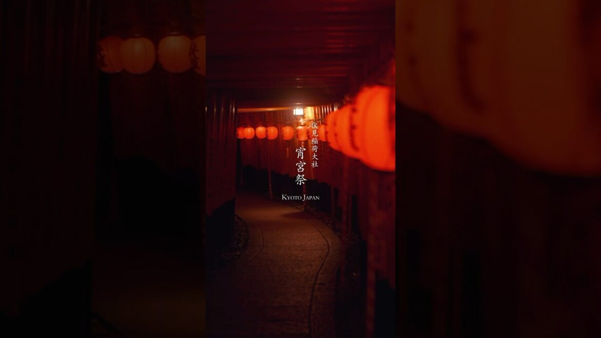 千本鳥居が真っ赤な奉納提灯で幻想的な世界に! 宵宮祭 伏見稲荷大社 京都 #shorts #travel #japan #festival #神社 #祭り 千本鳥居が真っ赤な奉納提灯で幻想的な世界に! 宵宮祭 伏見稲荷大社 京都 #shorts #travel #japan #festival #神社 #祭り
