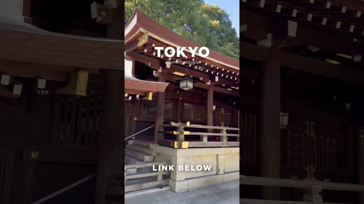 #tokyo #osaka #ohtani #kyoto #shibuya #ginza #onsen #shinjuku #soba #ramen #tokyotravel #japan